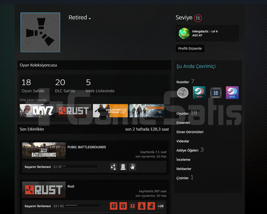 580 SAAT RUST PUBG PLUS DAYZ DOLU OYUNLU