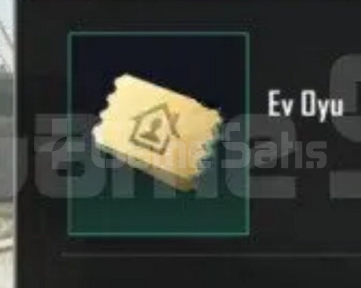 1000 ev oyu stok sınırsız
