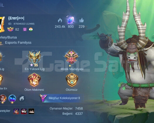 Herşey Max Main Yapmalık Hesap 10/10