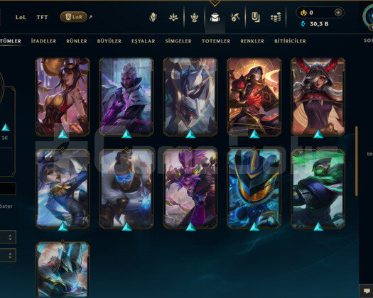 TR | 32 SKİN | BRONZ 4 | 30 K ÖZ