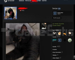 200 RATEUP - STEAM