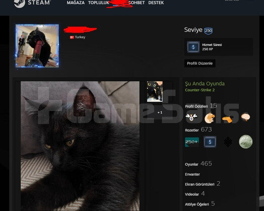 200 RATEUP - STEAM