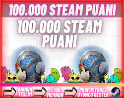ANINDA100.000 STEAM PUANI