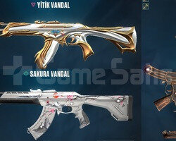 2 Vandal - 1 Spectra Skinli Unranked Hesap