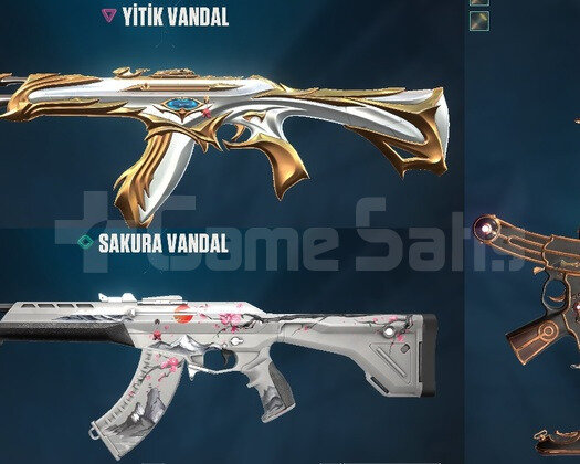 2 Vandal - 1 Spectra Skinli Unranked Hesap