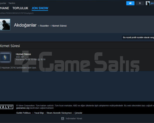 steam 15 lvl hesap