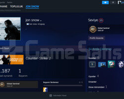 steam 15 lvl hesap