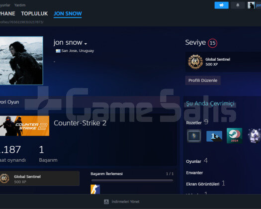 steam 15 lvl hesap
