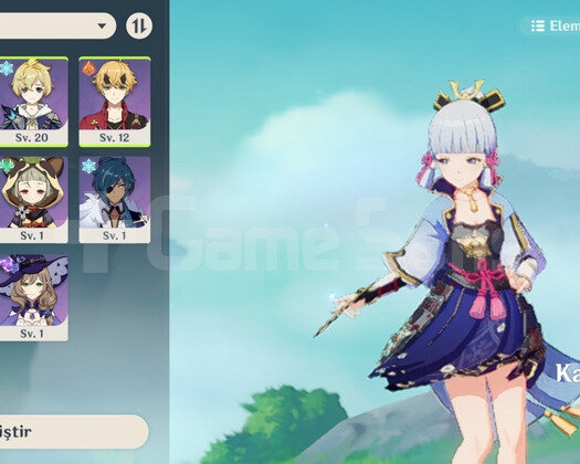 AYAKA STARTER AR 22