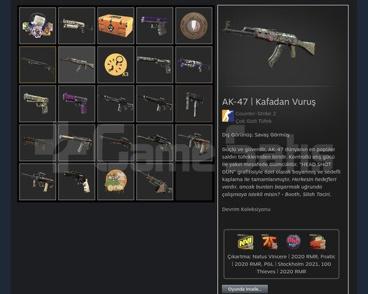 38 seviye steam hesabı main hesabımdır