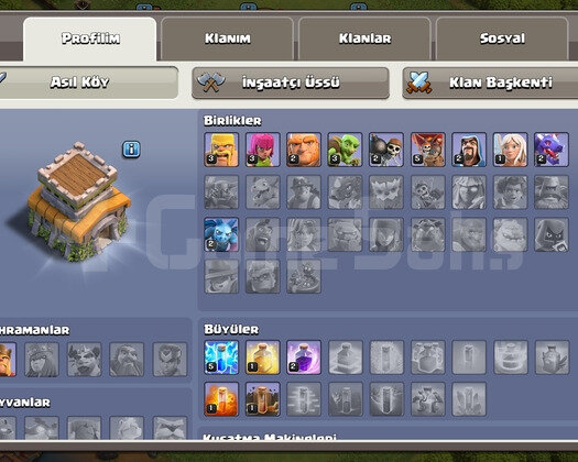 TH 8 SAĞLAM HESAP