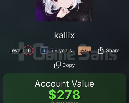 1600 DOLARLIK STEAM HESABI
