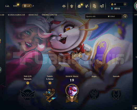 TR Unranked | 2 Kostüm - 26 Hero | LoL Hesap