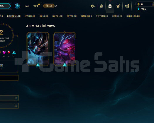 TR Silver 4 | 2 Kostüm - 22 Hero | LoL Hesap