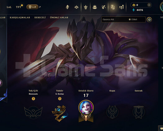 TR Unranked | 2 Kostüm - 39 Hero | LoL Hesap