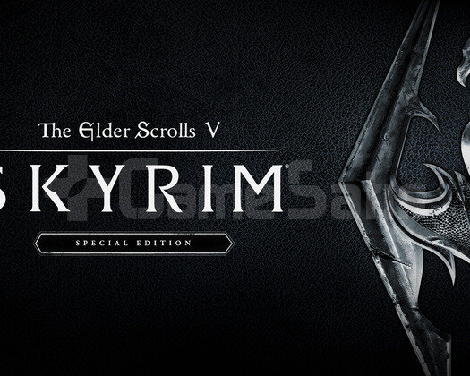 The Elder Scrolls V Skyrim Special Edition