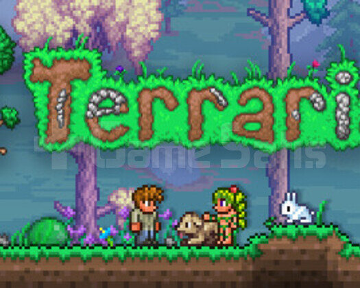 Terraria + GARANTİ