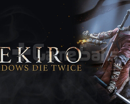 Sekiro Shadows Die Twice + GARANTİ
