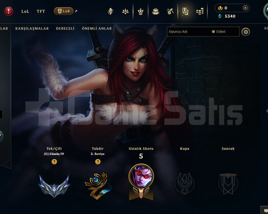 EUW Silver 4 | 1 Kostüm - 31 Hero | LoL Hesap