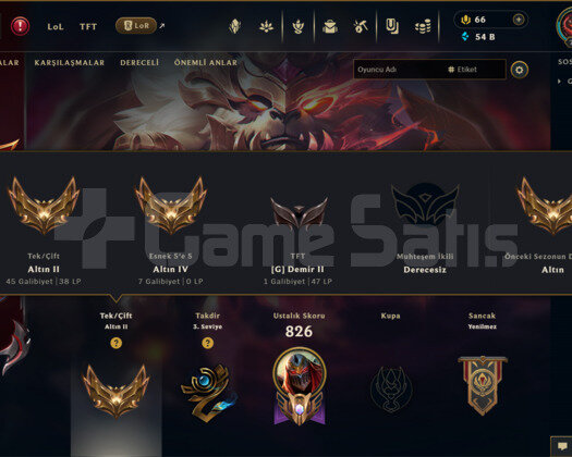 436 KOSTÜM 791 LEVEL GOLD II EFSANE MAİLLİ HESAP