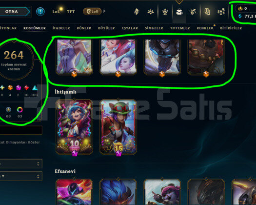 465 LEVEL / 264 SKİN / FUL HERO +MAİL +7800 SATIŞ