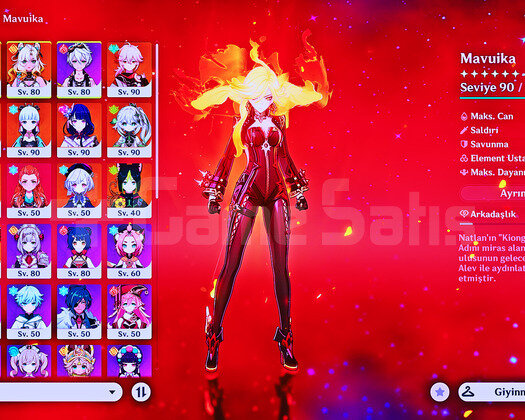 rank 51 ayaka raiden