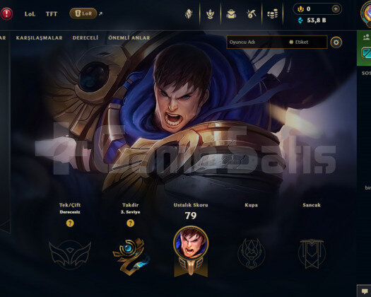 TR UNRANKED FRESH ACC+45LP 21ŞAMP 7 SKİN 53.8K MÖ