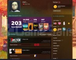200 üstü oyunlu steam hesabı