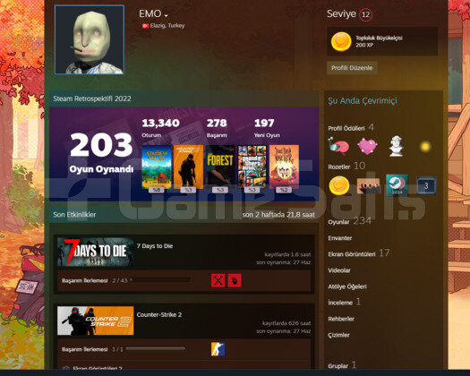 200 üstü oyunlu steam hesabı
