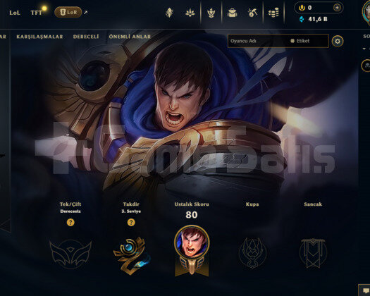 EUW UNRANKED FRESH +45LP 10/10 HAZIR HESAP