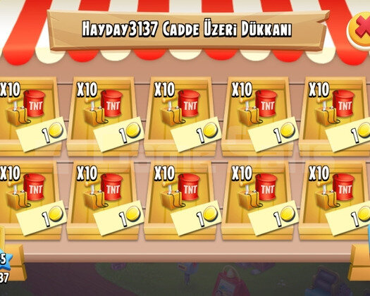 100 ADET TNT