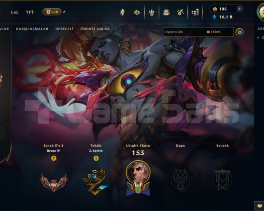 TR | 42 SKİN | BRONZ 4