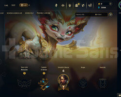 EUW Unranked | 2 Kostüm - 21 Hero | RANKED READY!