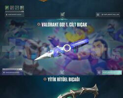 VCT TURNUVA ÖZEL TAG - FULL + FULL MAİNLİK HESAP