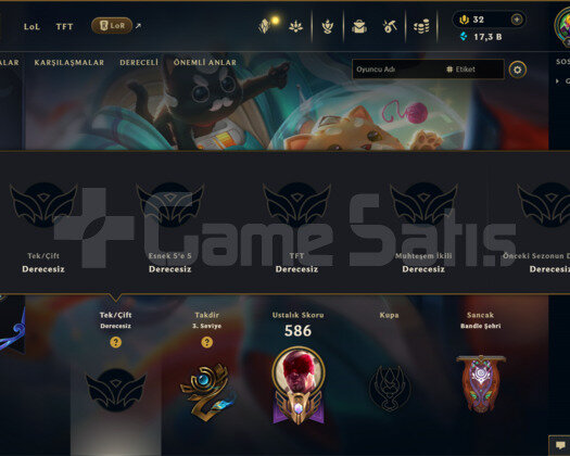 314 KOSTÜM 325 LEVEL UNRANKED EFSANE MAİL HESAP