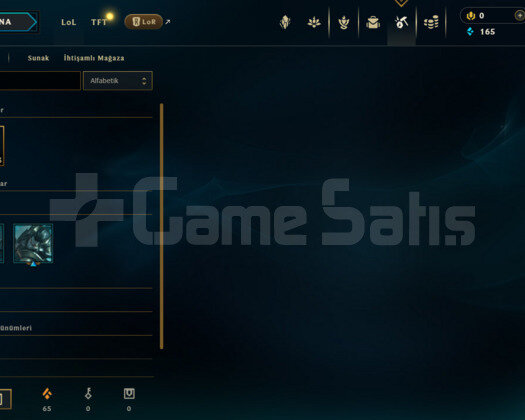 TR DEMİR 2 S12 HESABI