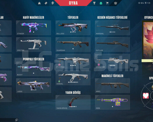 BETA EMEKTARI TERTEMİZ HESAP