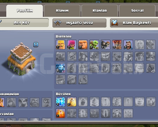 TH 8 İÇİ DOLU ORTA DÜZEYDE