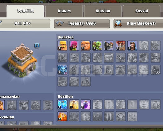 TH8 İÇİ DOLU ORTA DÜZEYDE