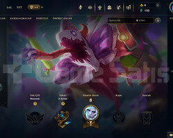 TR Unranked | 2 Kostüm - 24 Hero | RANKED READY!