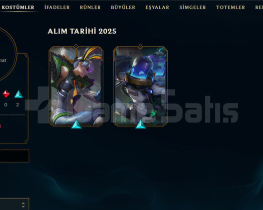 31 LEVEL / 14 BİN MAVİ ÖZ / GÜMÜŞ 2