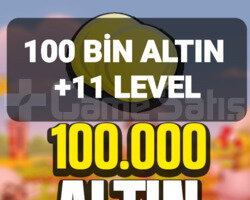 100 BİN ALTIN +11 LEVEL