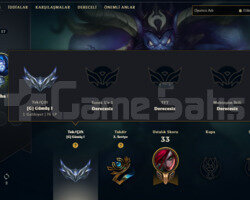 2013 KURULUM 10 SKIN 54 HERO SILVER 1 GOBLIN HESAP