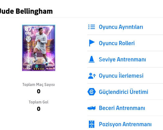 108 Bellingham