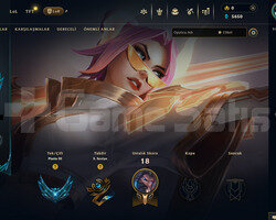 TR Plat 3 | 3 Kostüm - 29 Hero | LoL Hesap