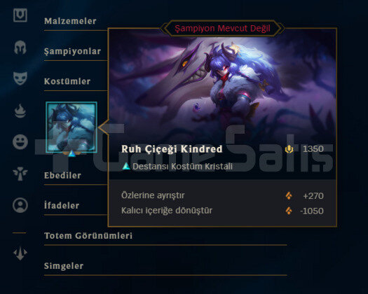 DERECELİ HAZIR / KALİTELİ KOSTÜMLER / EUW