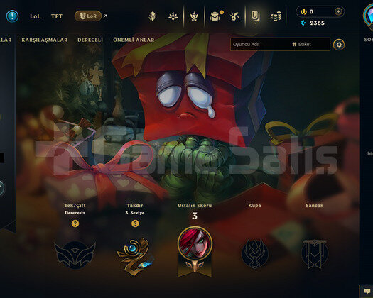 EUW Unranked | 1 Kostüm - 24 Hero | RANKED READY!