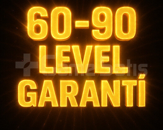 | ÖZEL STOK | 60-90 LEVEL GARANTİLİ RANDOM