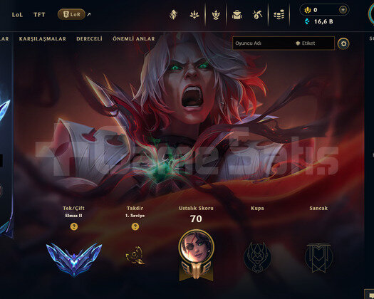 TR 72 WR Elmas 2 | 2 Kostüm - 24 Hero | LoL Hesap