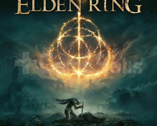 ELDEN RING PS4/PS5 + GARANTİ